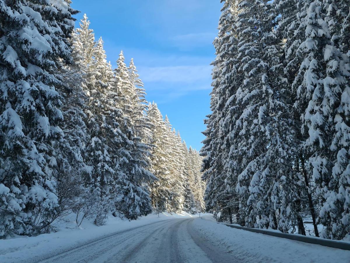 فيلا Chalet-Beskydy Prostřední Bečva المظهر الخارجي الصورة